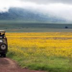 ngorongoro20